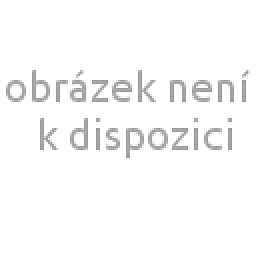 Obrázek pro produkt Pánské triko černé vel. L
