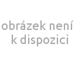Obrázek pro produkt Sedák z paměťové pěny 45X40X5 cm
